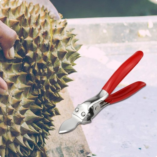 Pince ouvre durian - pince, ouvre-durian