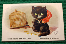 Old postcard CATS - BLACK CAT, BIRD CAGE - GUESS WHERE IS THE LITTLE BIRD