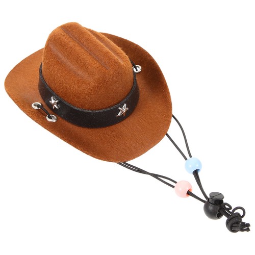 Accessoire chiot chapeau - chiot,