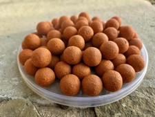 2 kg  de bouillette carpe