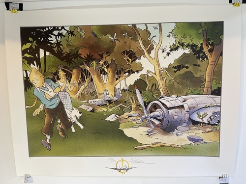 Pascal somon tintin et - somon,