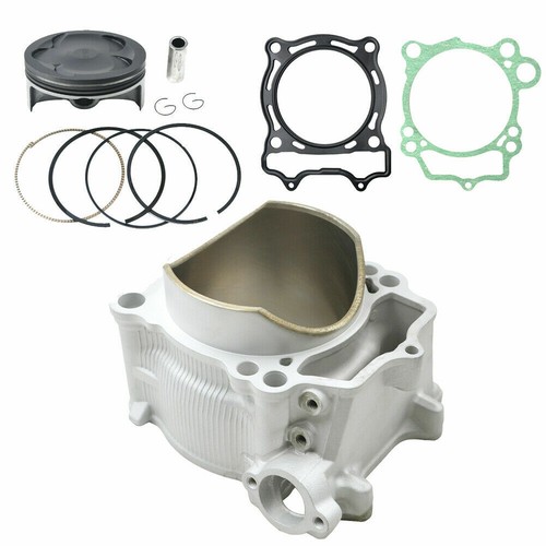 Cylinder barrel piston - piston, gaskets