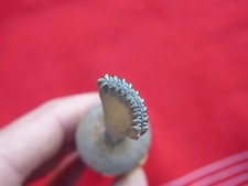 fleuron fer à dorer outil