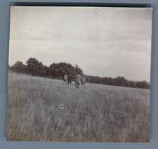 UK, On the Knoll  Vintage citrate print.  Tirage citrate  8x9  Circa 1903 