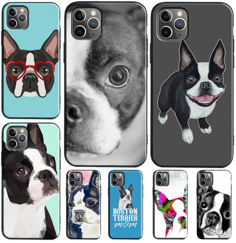 Boston terrier dog pet - boston,