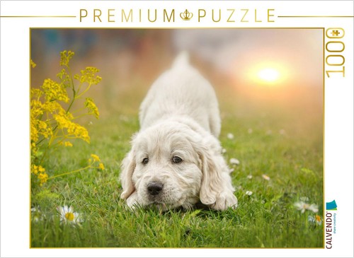 Calvendo puzzle ein motiv aus - calvendo,