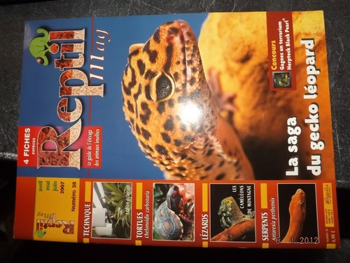Revue reptil mag 28 - reptil, n°28