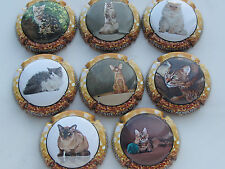 Serge ARMAND 3rd Series Champagne Champagne Capsules Champagne