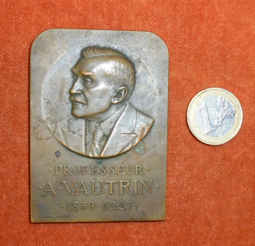 Médaille plaque bronze - médaille,