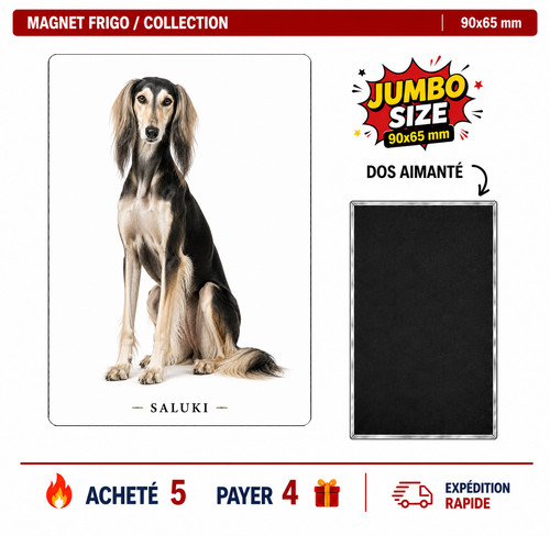 Magnet saluki 90x65 - , frigo