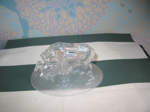 Cheval verre - cheval,