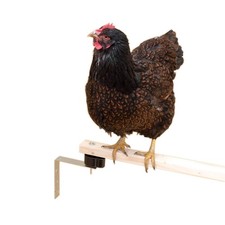 Ensemble Anti-Acariens Pour