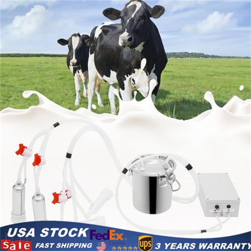 Pulsation cow milking machine - cow,