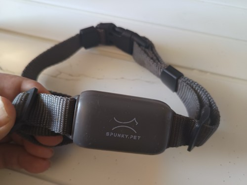 Collier dressage spunky - collier,