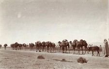 Algeria.The Desert caravan.Photo Citrate 1890.Attributed to Eugène Michel.16.5x26.