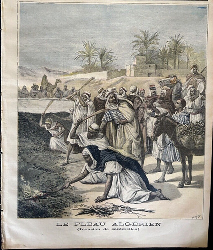 Petit journal 1891 - le,