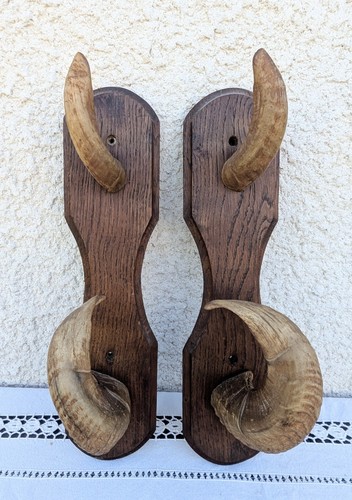 Ancien porte fusil - porte-fusil, râtelier