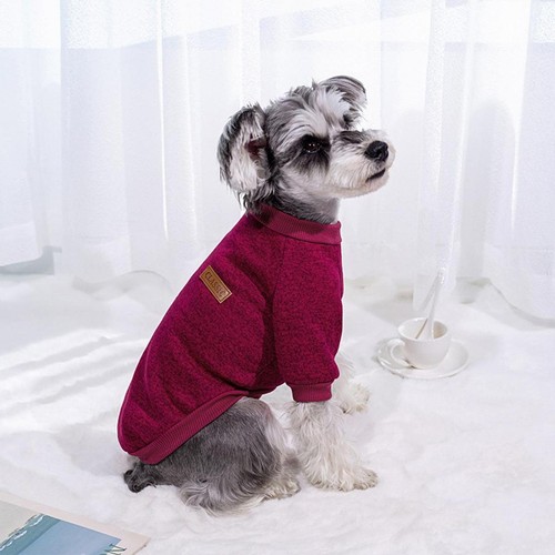 Pull pour petit chien - ,,