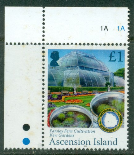Ascencion island 2011 - island,
