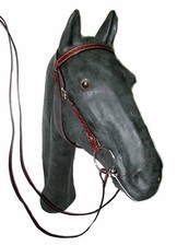 Bridon Western Basket-Ball