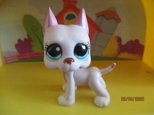 Argentine Great Dane Dog Petshop #1022
