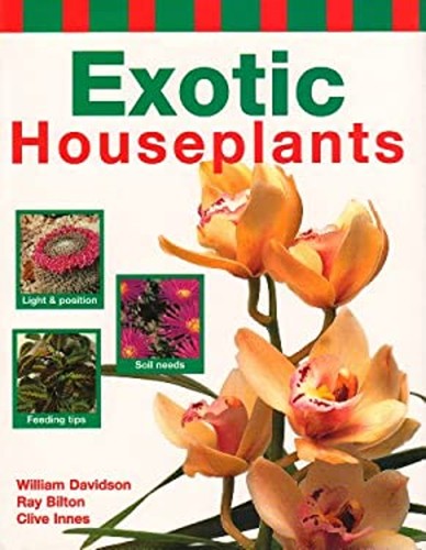 Plantes intérieur exotiques - plantes,