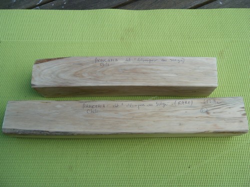 Carrelets bois - 2,