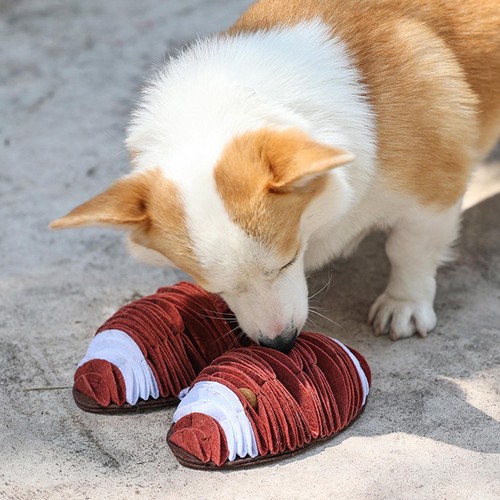 Jouet mâcher pour chien - à,