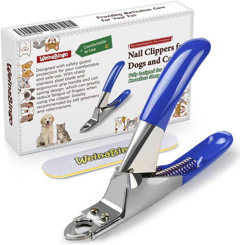 Dog cat pets nail - dog,
