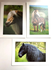 Lot de 3 Cartes Postales