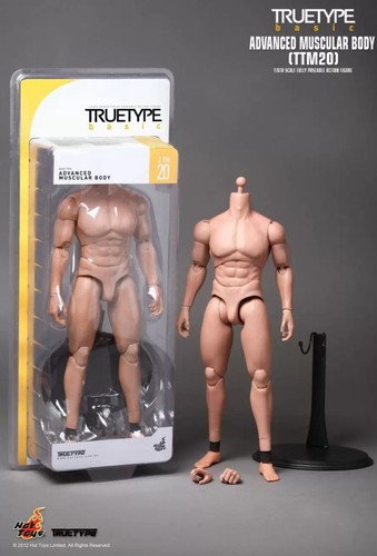 Hot toys ttm20 truetype basic - ttm20,