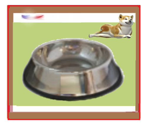 Gamelle pour chien chat - pour,
