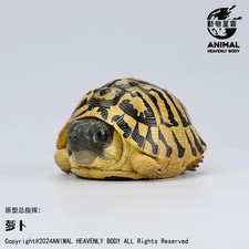 【In-Stock】Animal Heavenly