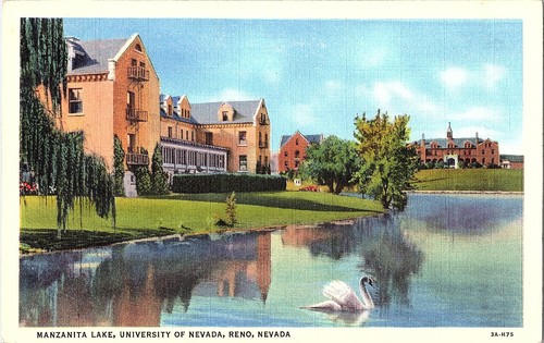 Carte postale manzanita lake - postale,