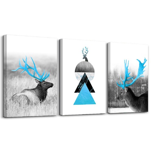 Images sur toile 120 - x, cm