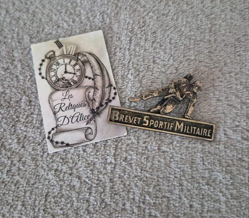 Insigne pucelle brevet - insigne, /