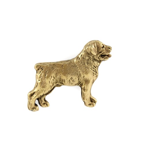 Rottweiler broche dorée - -,