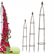 Pergola de jardin en métal terrasse pour roses fleurs rouille acier 180 cm de...