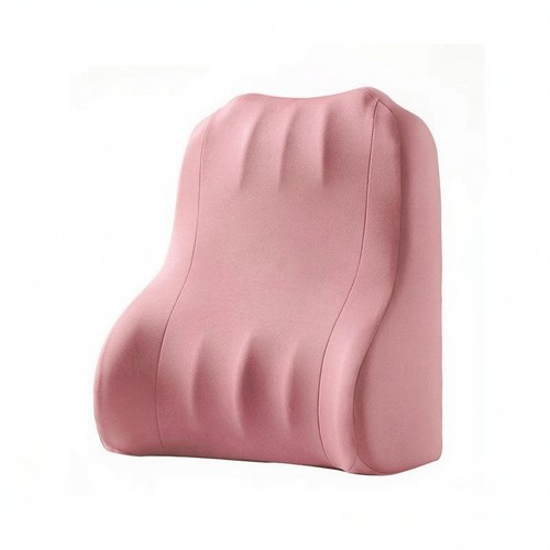 Oreiller ventral surface - oreiller,