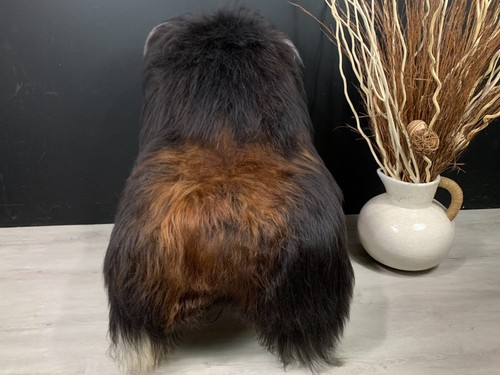 Xxl sheepskin brown genuine - xxl,
