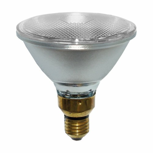 Ampoule philips halogène - ampoule,