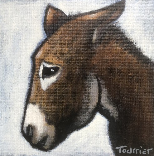 Tableau portrait âne - Âne, tourrier