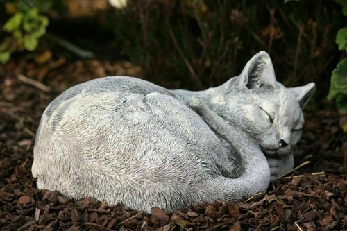 Sculpture pierre chat klara - chat,