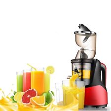Extracteur de jus de fruits et légumes 250W, 2 bacs et brosse de nettoyage