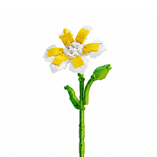 Fleur tige plumeria - tige, bloc