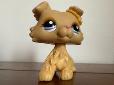 Petshop colley n°1194 de