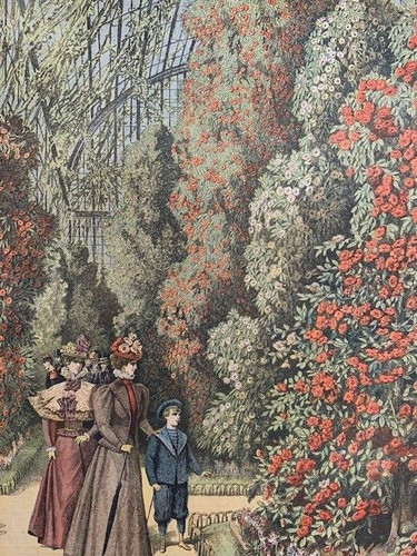 Petit journal le jardin - -,
