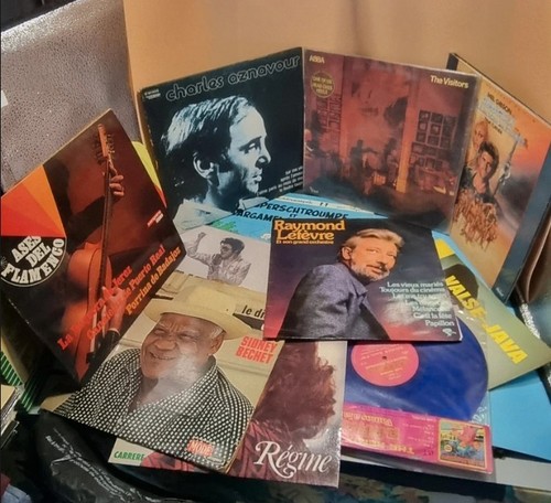 Lot disques vinyles - de,