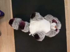 Peluche Raton Laveur