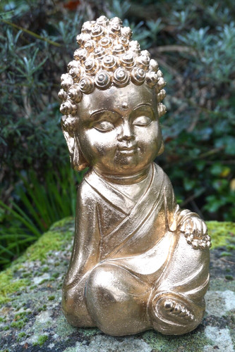 3510 promotion bouddha - promotion,